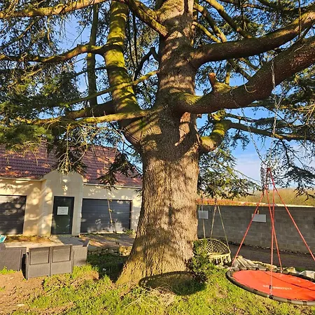 Apartment Du Cedre *